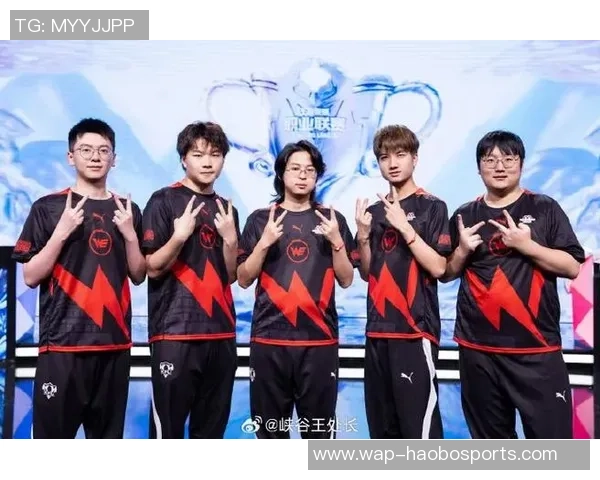 聚焦王者荣耀：探讨WE战队在职业赛场上的实力与未来发展